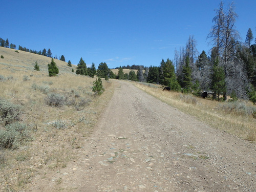 GDMBR: The road was steep at first.